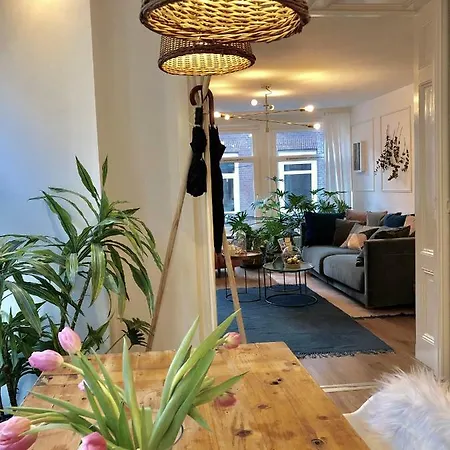 Bed & Breakfast Bee - In The Trendy Jordaan