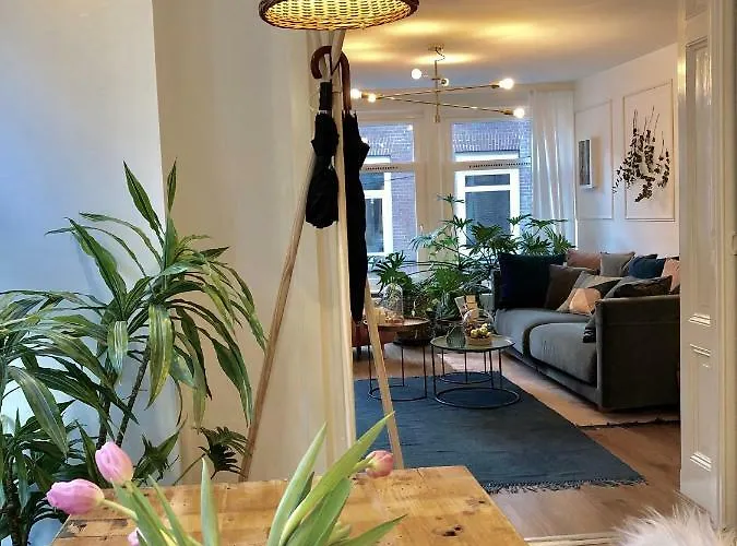 Bed & Breakfast Bee - In The Trendy Jordaan